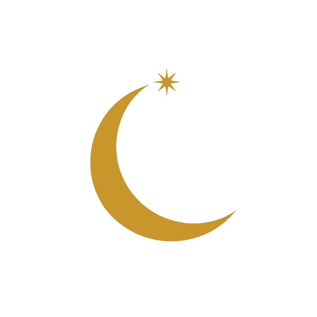 Vesper Nyx — crescent moon and star logo